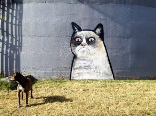 dog park graffiti
