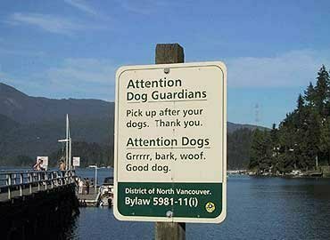 Witty signs
