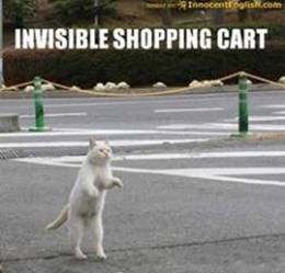 Invisible Cat Toys