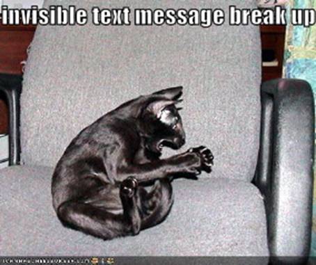Invisible Cat Toys