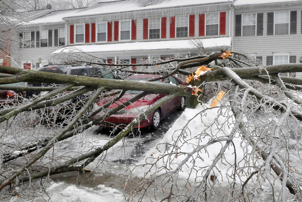 A fallen tree weighed down with ice sits on Old Herhey Road in Elizabethtown, Pa.