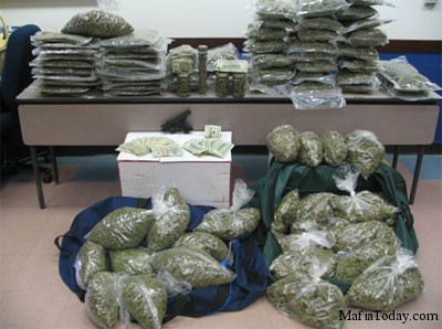 500 lbs of weed