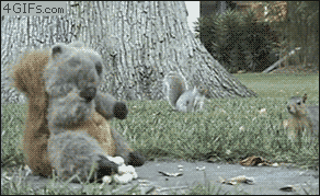 Wacked Out Wednesday GIFS