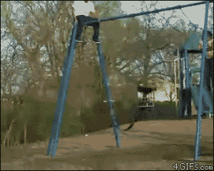 Wacked Out Wednesday GIFS
