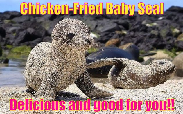Chicken-Fried Baby Seal.   Delicious and good for you!!