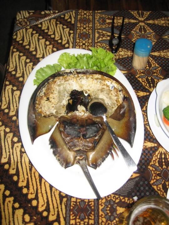 Horseshoe Crab Roe & Nast (China)