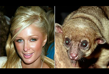 Paris Hilton and her Pet Monkey