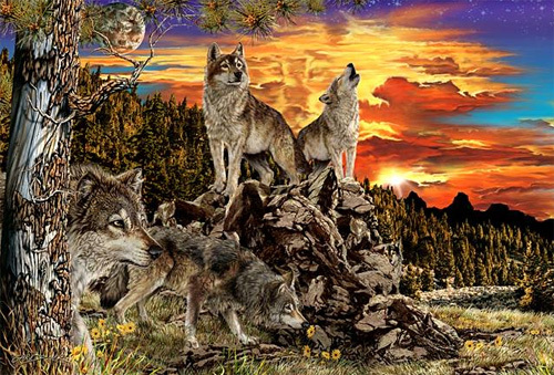 Can you find all 17 wolves in this photo? I only found 11 see if you can beat me... I promise there are 17