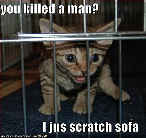 Kitten Jail