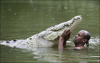 Chito left the croc in a lake near his house.. But as he turned to walk away, to his amazement Pocho got out of the water and began to follow him home.