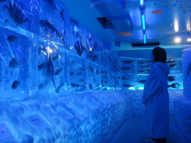 creepy aquarium of frozen wonders