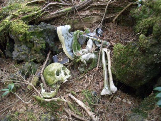 Aokigahara Forest is a popular place for suicides