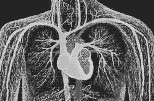 Trippy black and white GIF of a heart beating in an MRI