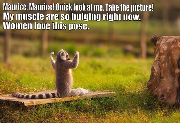 Maurice takes a picture of king julien.