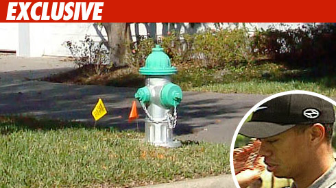 Infamous Fire Hydrant
