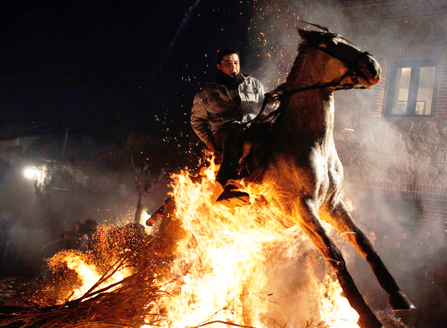 The rider is scared, animal rights activists are terrified, small children are in tears, but this horse has the stones