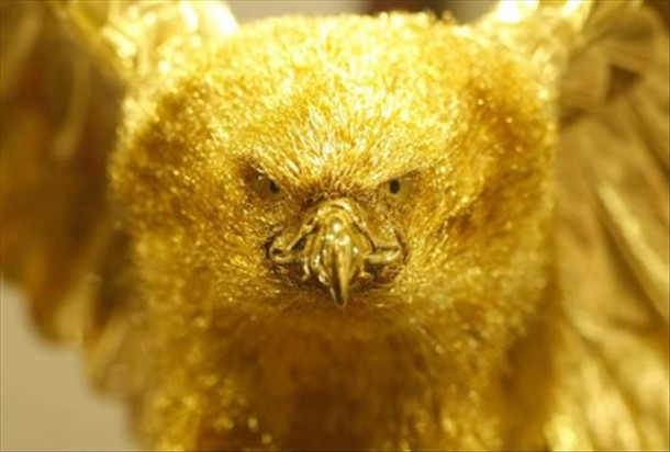 Fear golden eagle - He sees all