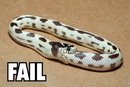 Snake fail