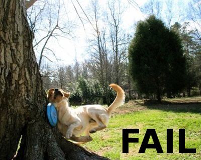 Dog fail