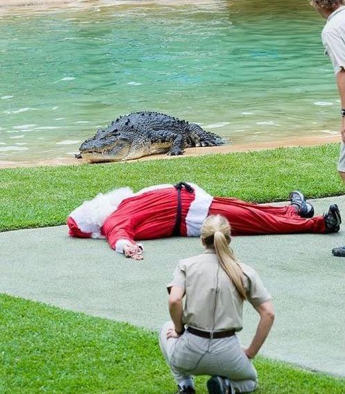 Apparently Santa didn't give the gator what he wanted for xmas