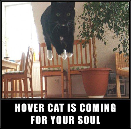 Hover cat is coming for your soul!! Better run!!