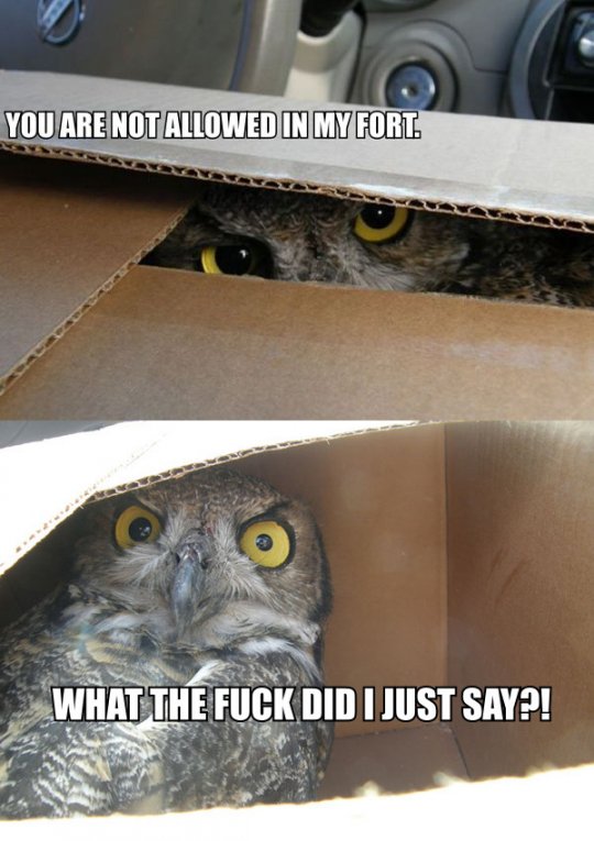 Sunday Night Madness 5