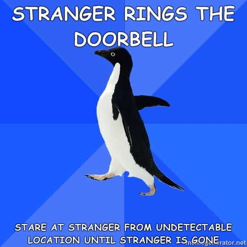 random pic socially awkward penguin funny - Stranger Rings The Doorbell Stare At Stranger From Undetectable Location Until Stranger Is Gone rator.net