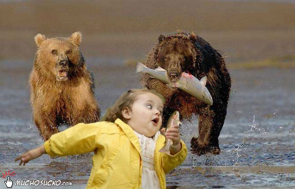 RUN GRIZZLY! i wanna see the aftermath