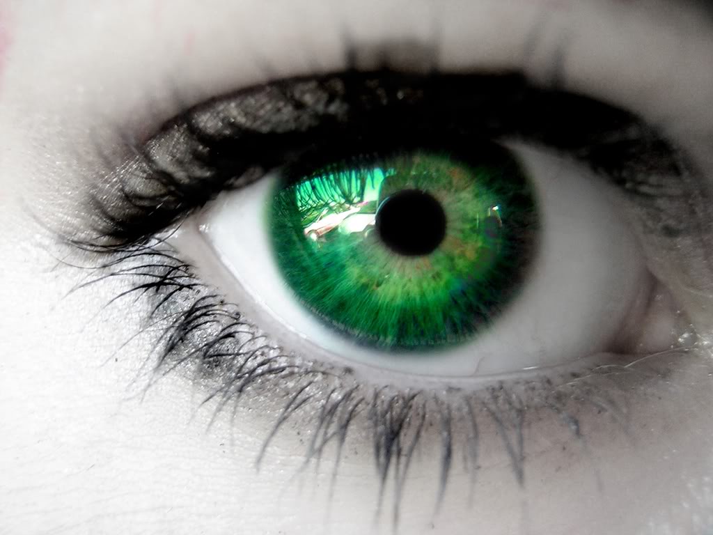 Your eyes stay the same size from your birth until death.