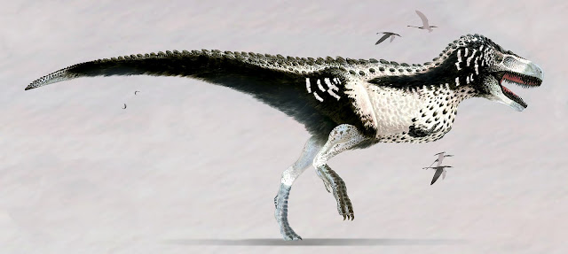 Chinese scientists have confirmed that the earliest Tyrannosaurus Rex's actually had feathers