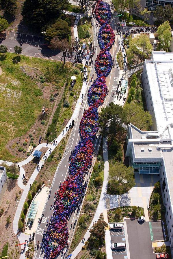 2,600 people celebrated the anniversary of the discovery of DNA by forming a human DNA strand.