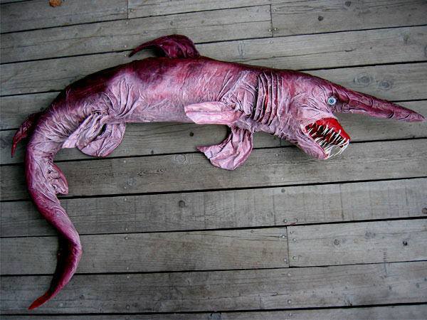 Another look at the goblin shark Mitsukurina owstoni, a deep sea creature that's been sighted less that fifty times since its discovery.