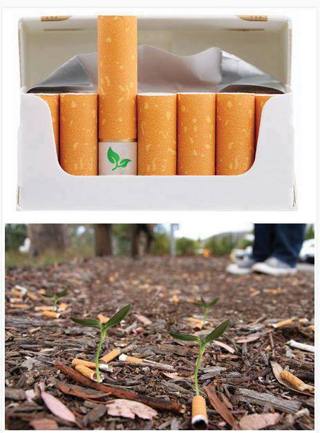 Biodegradable cigarette filters with flower seeds.