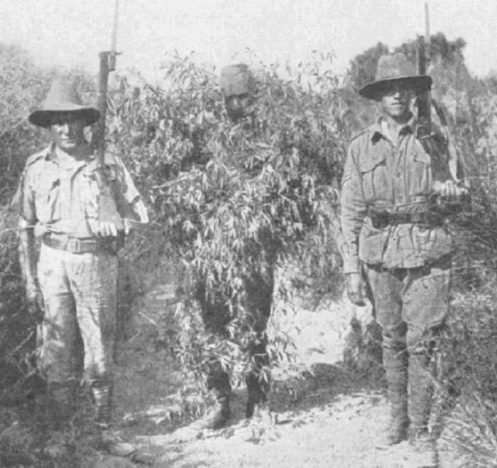June 1915, Gallipoli: a Turkish snipersharpshooter, dressed as a tree, is captured by two Anzacs.