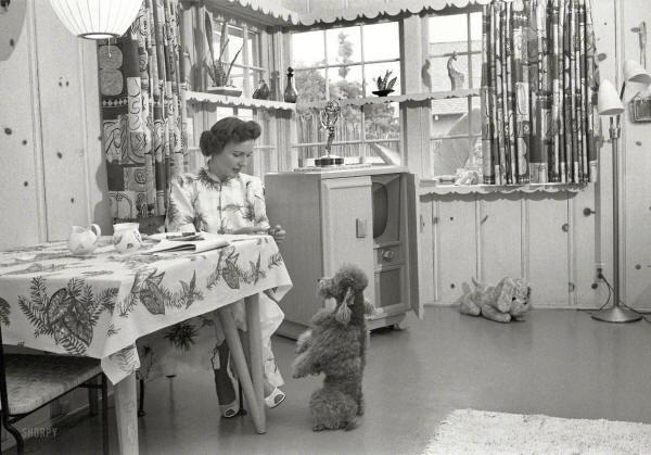 Betty White at home with her dog in 1952