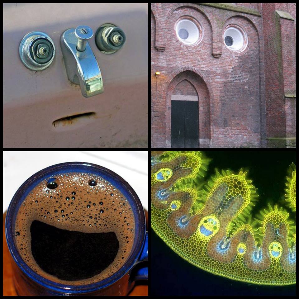 Pareidolia is a phenomenon that allows us to "see" faces and other objects in completely unrelated objects and settings.
