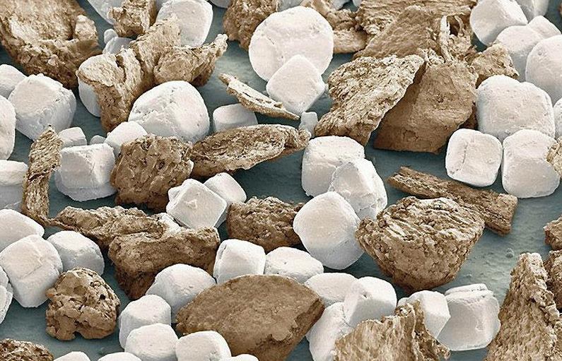 Scanning electron microscope image of salt and pepper.