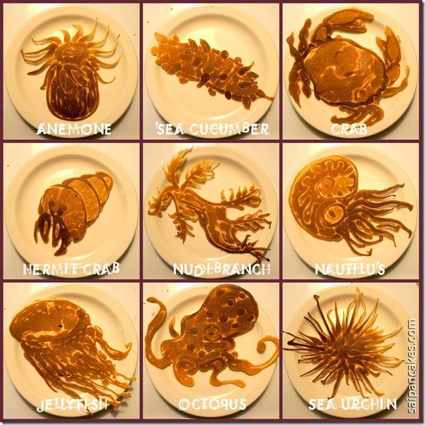Pancake sea creatures
