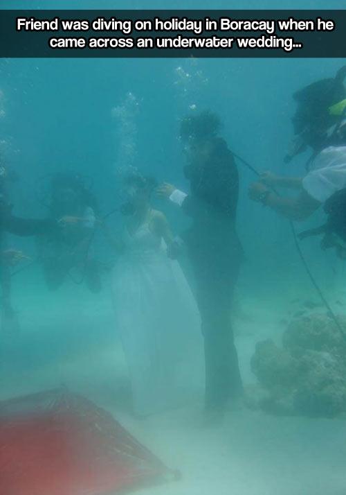 Imagine diving and interrupting a wedding