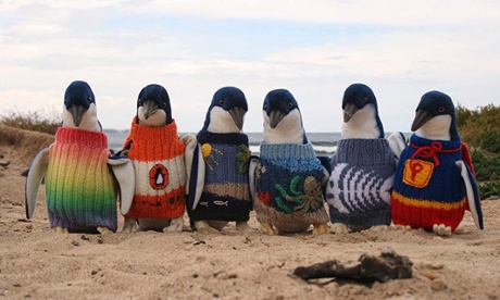 Penguins in sweaters to keep the oil ridden penguins from eating the oil while they were waiting to be cleaned.