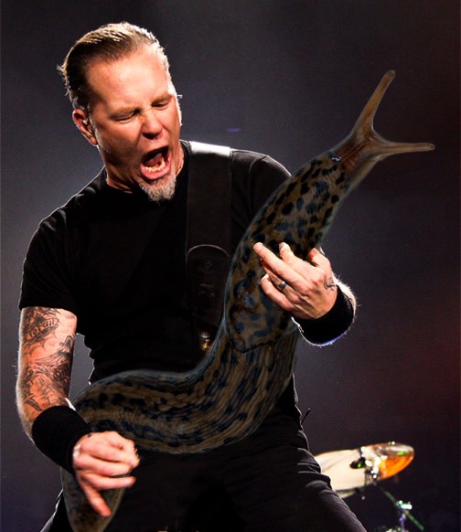 Rock Stars Holding Giant Slugs