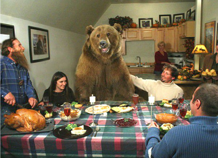 This bear was adopted by the naturalist Casey Anderson as a newborn cub. Anderson even had Brutus be the best man at his wedding to the actress Missi Pyle