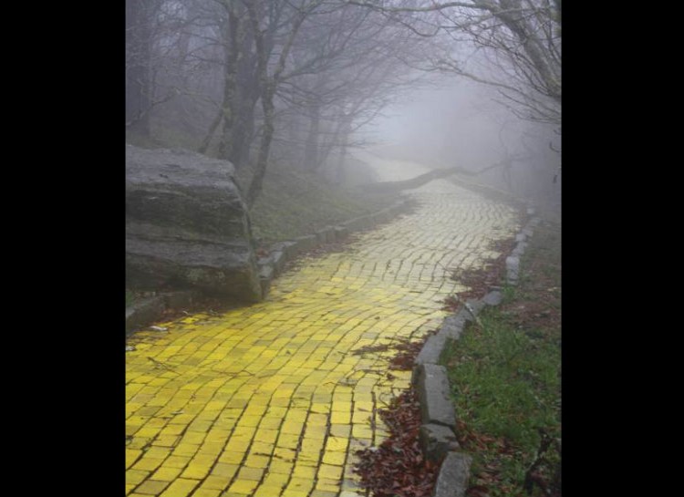 This "Wizard of Oz" abandoned themed park In North Carolina has a yellow brick road that once was the pride and joy of the park.