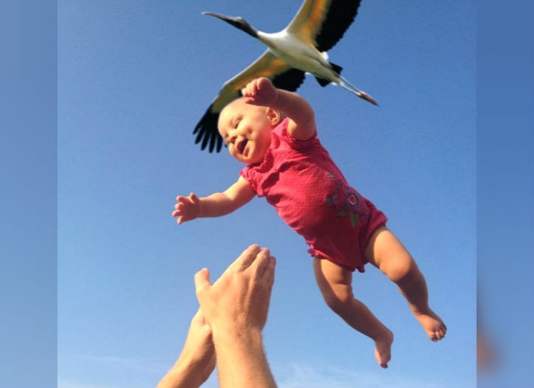 26 Most Perfectly Timed Photos