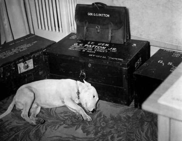 George S. Patton’s dog mourning his master on the day of his death