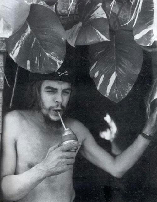 Che Guevara enjoying a drink