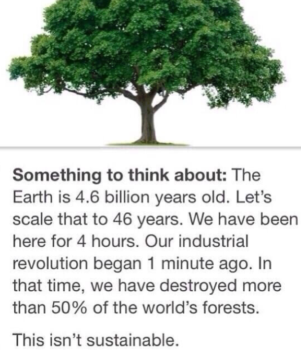 not sustainable - Something to think about The Earth is 4.6 billion years old. Let's scale that to 46 years. We have been here for 4 hours. Our industrial revolution began 1 minute ago. In that time, we have destroyed more than 50% of the world's forests.