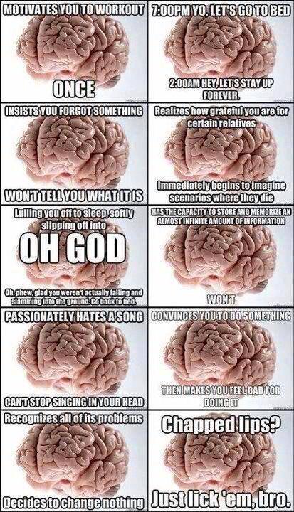 scumbag brain meme - Motivates You To Workout Pm Yo, Let'S Go To Bed Once Am Hey.Lets Stay Up Forever Realizes how grateful you are for certain relatives Insists You Forgot Something Wonttell You Whatitis Lulling you off to sleep softly slipping off into 