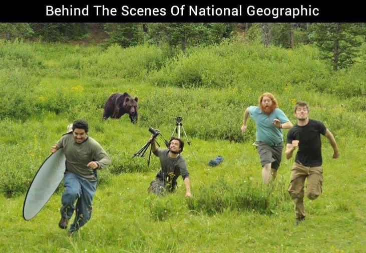 animal planet behind the scenes - Behind The Scenes of National Geographic