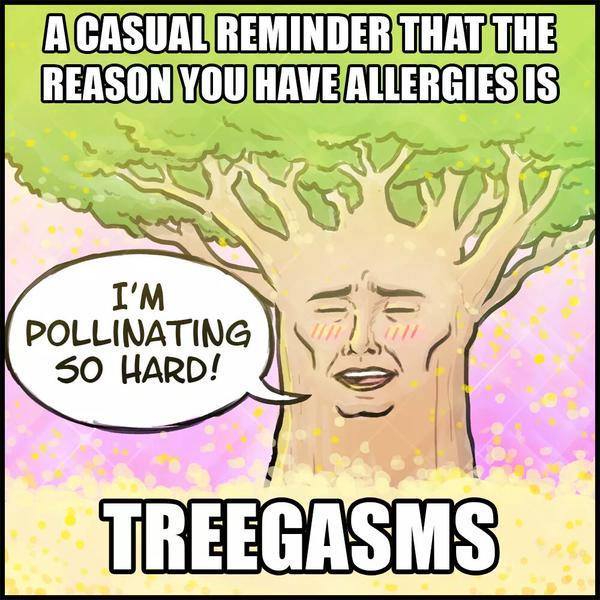 i m pollinating so hard - A Casual Reminder That The Reason You Have Allergies Is I'M Pollinating So Hard! Treegasms